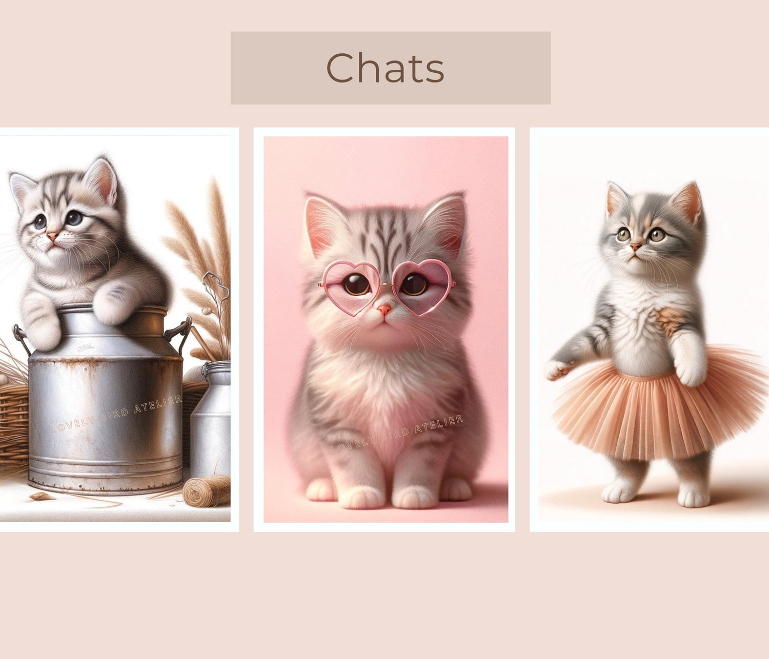 Affiches - Chats