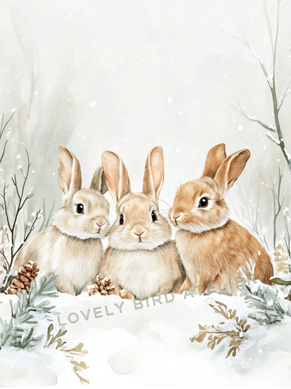 Affiche Trio Lapins & Neige