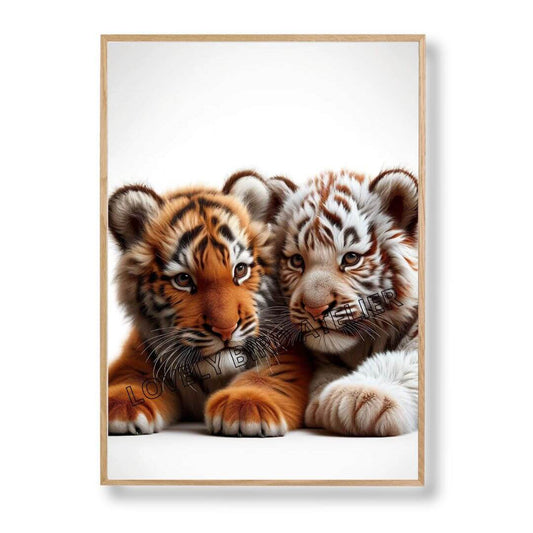 Affiches  Bébé Tigre